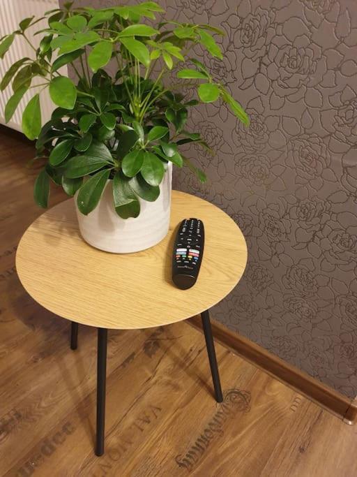 Zen By Downtown Apartments Târgu-Mureş Extérieur photo