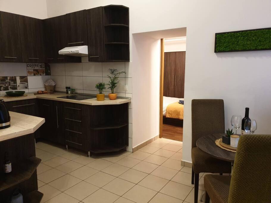 Zen By Downtown Apartments Târgu-Mureş Extérieur photo
