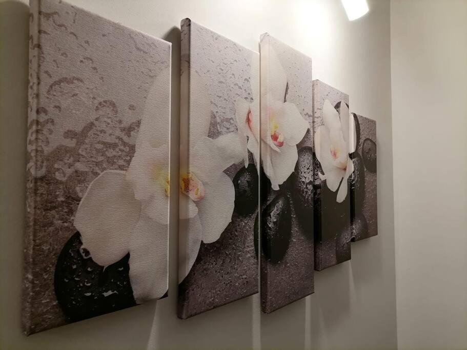 Zen By Downtown Apartments Târgu-Mureş Extérieur photo