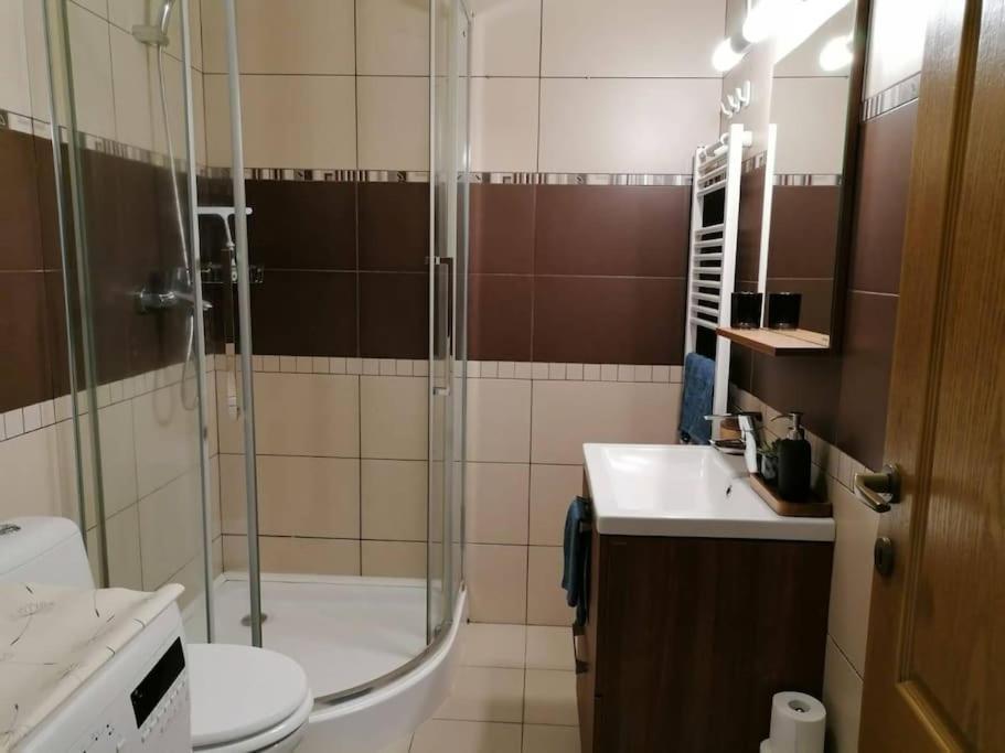 Zen By Downtown Apartments Târgu-Mureş Extérieur photo